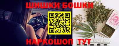 прущие крисы Будённовск